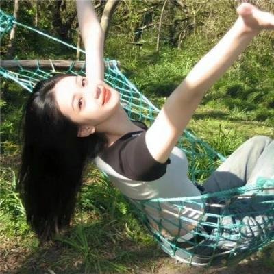 智叻狗仔队海报
